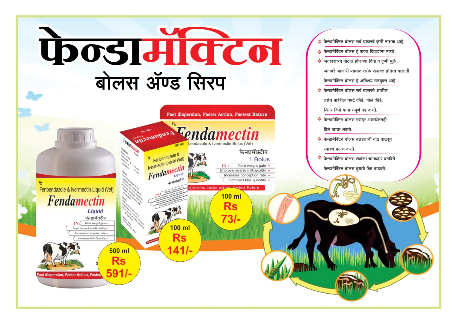 WhatsApp Image 2026-02-14 at 6.01.02 PM